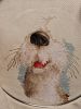 20211019_214453.thumb.jpg.679baced87e9f989a4290d87508704c6.jpg