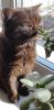 20211020_121025.thumb.jpg.1fc553d0f0626ce6f096eea9db33e280.jpg