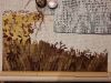 20211126_185303.thumb.jpg.9242965dd059a752efe4237976b5d360.jpg