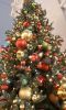 20211201_164515.thumb.jpg.0f89d3be6070d28ff9d9ba171331aa7d.jpg