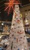 20211201_165117.thumb.jpg.dc335ded57f20391b131a0aa41c88b9f.jpg