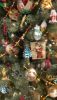 20211201_175124.thumb.jpg.68bfe59535a4082a00750f8108b1a455.jpg