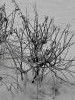20211213_101939.thumb.jpg.2fac6704dffd8901515571f816f95cab.jpg?1639563047560