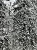 20211213_101948.thumb.jpg.d51e5690d49b448b34e64d8068cf1092.jpg?1639563053412