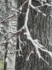 20211213_102000.thumb.jpg.745341c5de8f7ccb2ab6010bde74cf8a.jpg?1639563059558