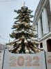 20211213_102034.thumb.jpg.cbce2d3afb91223c3fea56fdfe5a4da3.jpg?1639563068062