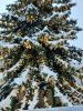 20211213_102109.thumb.jpg.1ec510cb1040fd97b3f6aefc1cd23f03.jpg?1639563080366