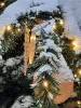 20211213_102122.thumb.jpg.5d8707334f5f1a846894ddbd4b8867fc.jpg?1639563083120