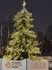 20211213_164857.thumb.jpg.e7b2cdd755b04b60dbc618b07c1df4bd.jpg?1639563089154