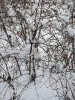 20211214_115045.thumb.jpg.e376f0b9faa40d4f5a520497a1d55b36.jpg?1639563119327