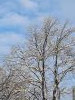 20211214_115135.thumb.jpg.0b89c86d4f9c35babe836ada35c633a4.jpg?1639563123301