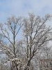 20211214_115139.thumb.jpg.16680e6dba0d288a02f38537e39d6b2b.jpg?1639563133822