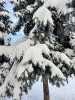 20211214_115424.thumb.jpg.fa7a207b1a546f40f43a409d5c08e29a.jpg?1639563140075
