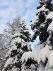 20211214_115428.thumb.jpg.f498a333770de6b60ba785c9279cb46c.jpg?1639563143884