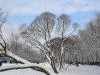 20211214_115754.thumb.jpg.661dc255739ddc291999c3d559f113be.jpg?1639563157848