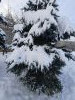 20211214_115928.thumb.jpg.0656e62449702d068b6c048620260404.jpg?1639563165445