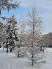 20211214_120043.thumb.jpg.67a9c6d200f9076f469aa2fc550c359a.jpg?1639563186299