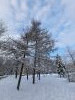 20211214_120056.thumb.jpg.996f2df7112b4f263ed3fbfe89ec1f01.jpg?1639563190185