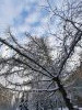 20211214_120105.thumb.jpg.6fff906f8d057d07245c22b69b2a2d9a.jpg?1639563194973
