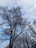 20211214_120151.thumb.jpg.a9efb24abbc157ca7e53d4bd82f51031.jpg?1639563215357
