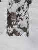 20211214_120425.thumb.jpg.d38823e182dad6b042c0089e4190ae08.jpg?1639563227241