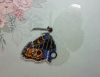 20211215_223302-1.thumb.jpg.f84661d3352987e7d37bc952c4655626.jpg