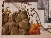 20211221_000818.thumb.jpg.c7df8b7c9ddc1b01d85bcea33272f714.jpg