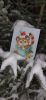 20211221_182744.thumb.jpg.a66d8510eb71a69e89506db906ddc432.jpg