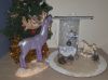 20211225_172111.thumb.jpg.5b054a2f135004f864630593f31797cc.jpg