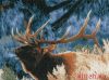 Lanarte PN-0145965, Red Deer at Dawn