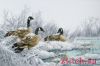 26359.thumb.jpg.6f0afb4a6741eab39f5ff57323d24c9a.jpg