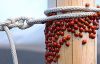 270911824__.thumb.jpg.ff962ccaa389022508dced54eab87e97.jpg