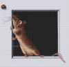 28588.thumb.jpg.6b4a23481ad9777bc611e65dc3bbb8c8.jpg