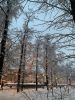 47E86D85-A050-4CFB-99B7-0F40A35B52C2.thumb.jpeg.8ccb11e75976de06bc1785715d55e932.jpeg