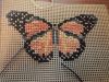 4AED9C9B-79FC-4FF9-A82E-2AF5DAC60800.thumb.jpeg.aa6ee5fce8f966a1ca340752c2b1d10c.jpeg