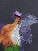 561755BE-11ED-4F1B-A083-7DA11D053686.thumb.jpeg.f3b6eac6870697923f9849c889e5d4da.jpeg