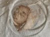 5832EDAD-D033-43D8-B292-F94601B38729.thumb.jpeg.929d3cd8a322ea1de0bd77cd6a5d11a1.jpeg?1639074796175