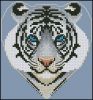 795698445_.jpg.a8190f64eb834bbc032f31f4ea163b35.thumb.jpg.17e978ed14f43061f136e087e5a3bf97.jpg