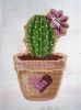 Cactus3.JPG.16643bebe53b58cd1888ed55a57923b6.thumb.jpg.6982e4aa18ae0fe00b2a68466e7def99.jpg