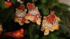 DSC01328.JPG.cad89011457c84a37765cc2f8344b167.thumb.JPG.9b493d7f71ca9220bb8af96753d0f715.JPG