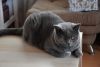 DSC_4388.thumb.JPG.d62b559cfabaf97ff64e56b0dd2e1b13.JPG