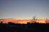 DSC_4393.thumb.JPG.7c515f08e2c75f691814466b7f0406eb.JPG
