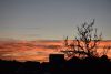 DSC_4394.thumb.JPG.27547ae33a610649881aa544a43810fa.JPG