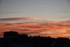 DSC_4395.thumb.JPG.74ab472469fbdef81523fc381ef04c07.JPG