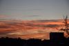 DSC_4399.thumb.JPG.2ef62f6144f7fc02938ce524315df249.JPG