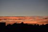 DSC_4401.thumb.JPG.ece956dd810c68eb7968e568d1e45f08.JPG