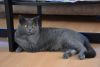 DSC_4460.thumb.JPG.7320627130cd241fbcb2f66bb44f368e.JPG
