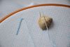DSC_4483.thumb.JPG.459b8eb9bb3cb2c429692dc068c4ae3d.JPG