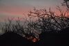 DSC_4496.thumb.JPG.0fcc63786106cb1f6dd7bca3d3cdcc6e.JPG