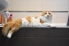 DSC_4506.thumb.JPG.0f53ac322ddd6d645fc167363a2b7150.JPG